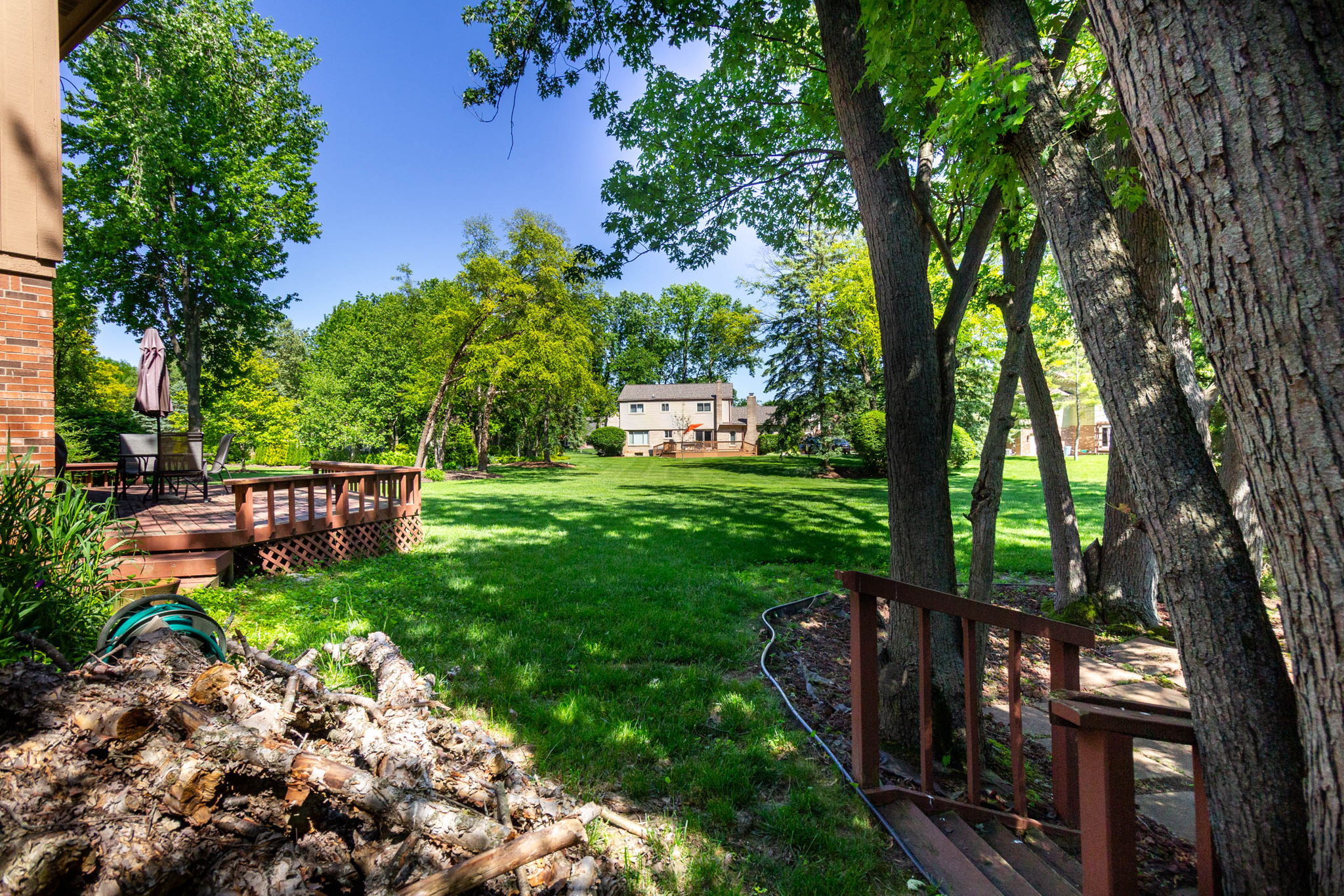 Backyard view