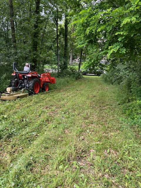 Rough driveway base cut into the site