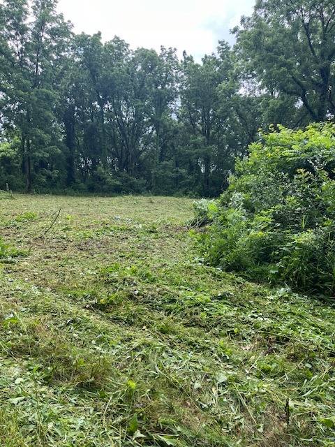 Cleared site viewed from the driveway