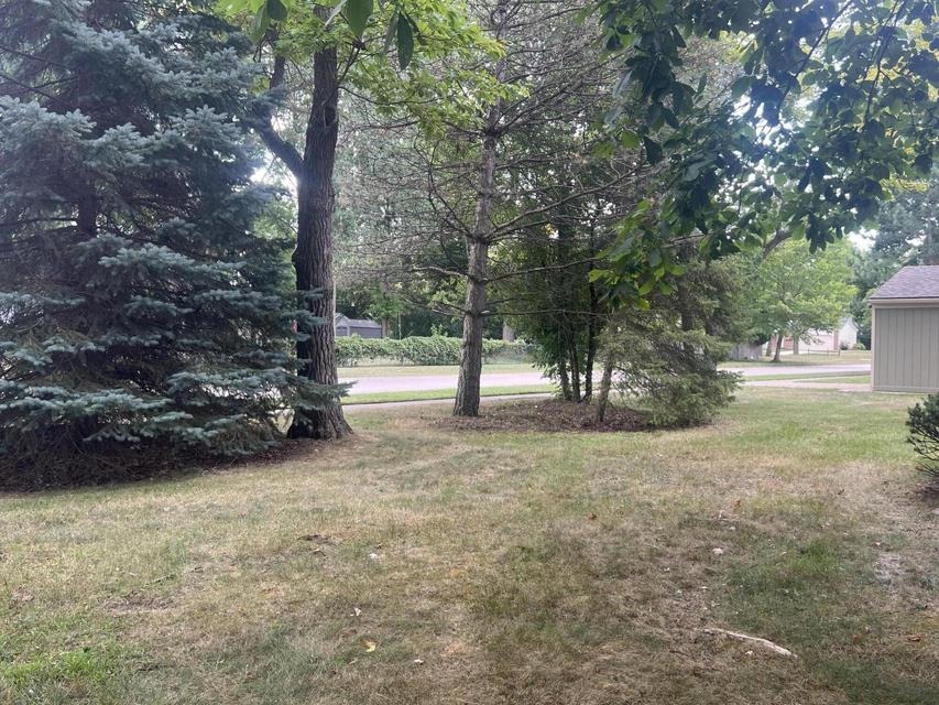 Front yard shaded by mature trees